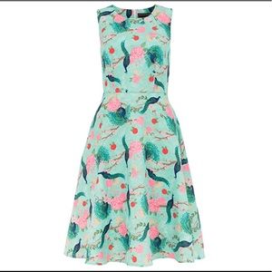 Voodo Vixen pin-up flare a-line dress